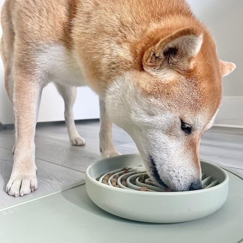 Slow Feeder for Dogs & Puppies, The Slowdown Bowl Silicone Slow Eating, Modern Lick Mat Design, Reduces Gulping, Fits 2 Cups, 7.5” Across x 1.5” Tall, Mealtime Challenge, Medium-Sage - color: Sage - Rainbow Design, size: Medium (7.5” Across x 1.5” Tall)
