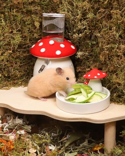 Niteangel Hamster Snack & Treats Toy: Freeze-Dried Zucchini & No Additive | Delivers Essential Vitamins & Minerals- Small Animal Natural Treat for Dwarf Syrian Hamsters Gerbils Mice Degus or Small Pets