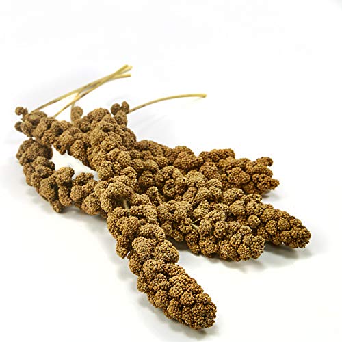 Kaytee Spray Millet Treat for Pet Birds, 5 Pound - size: 5 Pound (Pack of 1)