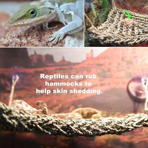 Bearded Dragon Hammock Lizard Tank Accessories Reptile Lounger Amphibian Habitat Décor for Chameleon, Geckos, Snakes, Hermit Crab, Lguana Reptiles, Tortoises - size: 16"+7"