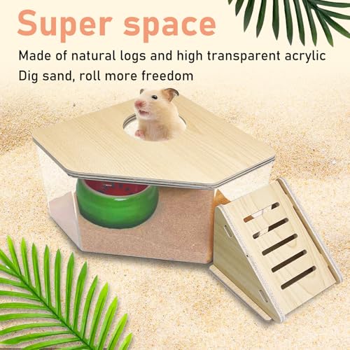 PINVNBY Hamster Sand Bath Box, Transparent Acrylic Sand Bath Shower, Gerbils Digging Room Container with Climbing Ladder and Ceramic Bowl, Litter Box for Hamsters Guinea Pigs Mice (Triangle)