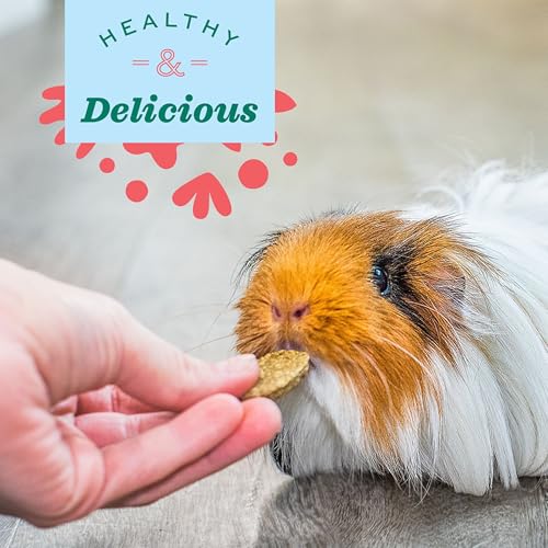 Oxbow Vitamin C Guinea Pig Supplement, High-Fiber Timothy Hay, 4.2 oz | Stabilized Vitamin C, High Fiber, Guinea Pig Vitamin C, Timothy Hay, Immune Health, Small Pet Supplies, Vet Recommended - size: 4.2 Ounce (Pack of 1)