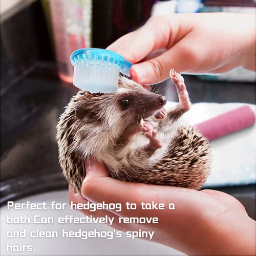 3 Pack Small Animal Grooming Brush - Hair Brush with Lid Soft Cleansing Bristles for Hamster Guinea Pig Rabbit Chinchilla Ferret Massage Combs Cleaning Supplies (3 Pack, White+Purple+Blue)