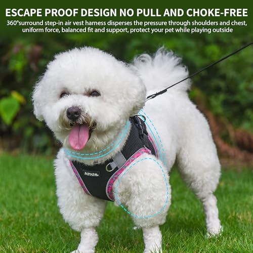 Teacup Puppy Harness with Leash - Adjustable Soft Vest with Magic Tape & Reflective Safety Strips, Easy-Put-On for Poodles, Pomeranians - Gym, Hiking, Travel (Black, S) - color: Black, size: S(Chest: 13.5 - 15")