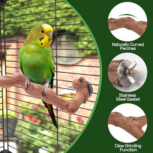 3-Piece Premium Bird Perch Stand with Natural Grape Wood Branch, Paw Grinding Fork, Chewing Stick, Cage Accessories for Parakeets, Budgies, Cockatiels, Finches, Lovebirds - size: 3Piece