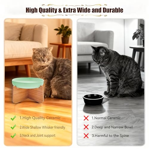 Shallow Elevated Cat Bowls with Bamboo Stand, 6.1 Inch Wide Ceramic Cat Dish Whisker Friendly, 2 Pack Pet Food and Water Plates - color: Mint green 2 pack