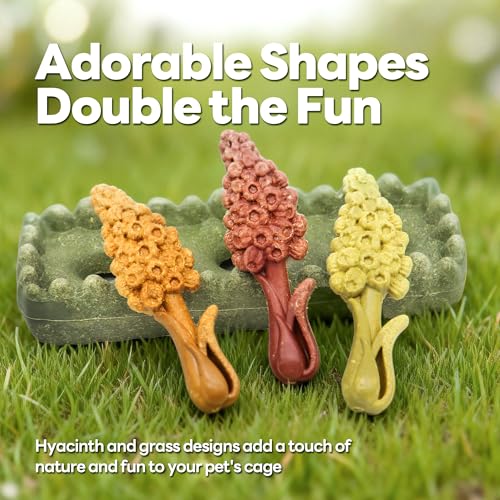 TEEWY 4PCS Guinea Pig Chew Toys, Prevent Teeth Overgrowth, Natural Timothy Grass & Vegetables, Hamster Toys, Guinea Pig Toys, Chinchilla Toys, Grass Patch & Hyacinth - style: 4PCS-Grass Patch & Hyacinth