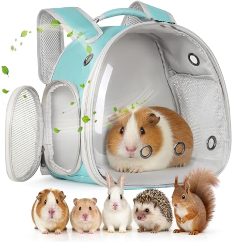 Guinea Pig Backpack, Space Capsule Bubble Window Small Animal Backpack for Guinea Pig, Bird Bunny Rat - color: Green