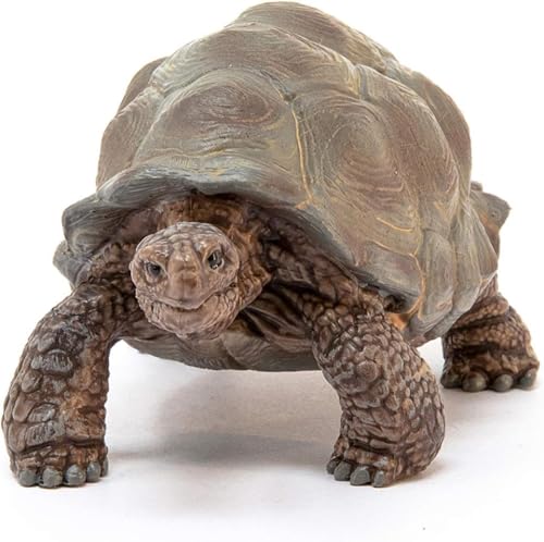 Schleich Wild Life - 3" Galapagos Giant Tortoise Figure - Realistic Turtle Toy for Boys and Girls - Wild Animal Educational Toy - Zoo Wildlife Figurine for Toddlers and Kids Ages 3+ | 13337