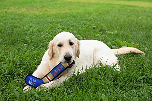 Pets First NHL New York Rangers Stick Toy for Dogs & Cats. Play Hockey with Your Pet with This Licensed Dog Tough Toy Reward!, 16 inches Long - color: New York Rangers, style: NHL Dog Tug Toy