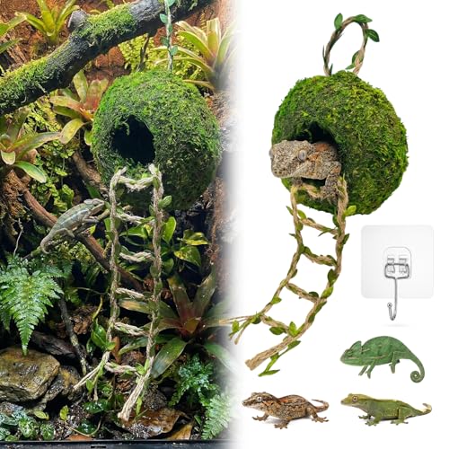 Moss Cave Hideout with Hanging Rope & Hemp Climbing Ladder – Natural Reptile Tank Decor Accessories for Crested Geckos, Chameleons, Tree Frogs, Leopard Geckos & Snakes. Terrarium & Vivarium Decor (6") - size: 6"