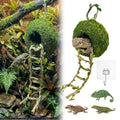 Moss Cave Hideout with Hanging Rope & Hemp Climbing Ladder – Natural Reptile Tank Decor Accessories for Crested Geckos, Chameleons, Tree Frogs, Leopard Geckos & Snakes. Terrarium & Vivarium Decor (6") - size: 6"