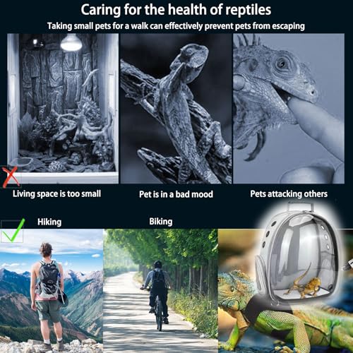 Bearded Dragon Carrier with Harness and Leash Small Pet Carrier | Large Reptile Backpack Bubble Window Portable Small Animal Carrier for Lizard Parrot Bird Rabbit Guinea Pig Travel Walking - color: Bearded Dragon Carrier