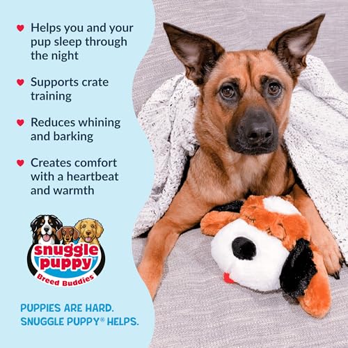Snuggle Puppy Heartbeat Dog Toy for Puppies, Real-Feel Heartbeat, Calming Sleep Aid and Crate Training Comfort Toy with Heat Pack, Brown & White Beagle | Calming heartbeat toy, crate training comfort, heat pack, new puppy essentials, first nights, sleep,