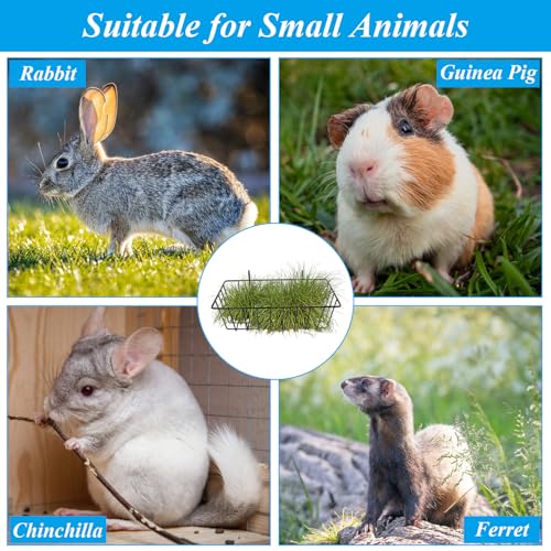 6 Pack Rabbit Hay Feeder, Heavy Duty Metal Bunny Hay Holder with Hooks, 9 x 4 x 3 Inch Hanging Hay Rack for Rabbit Cage, Guinea Pig, Chinchilla, Black - color: Black