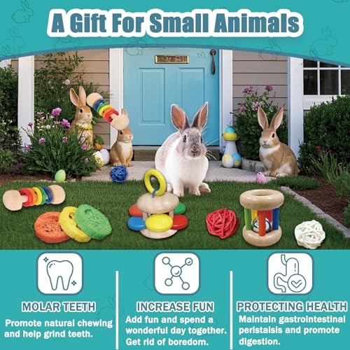 QWR 9PCS Wooden Bunny Toys,Safe Rabbit & Guinea Pigs Teeth Grinding Toy for Chinchillas, Hamsters & Small Animals - Indoor & Outdoor - size: 9PCS