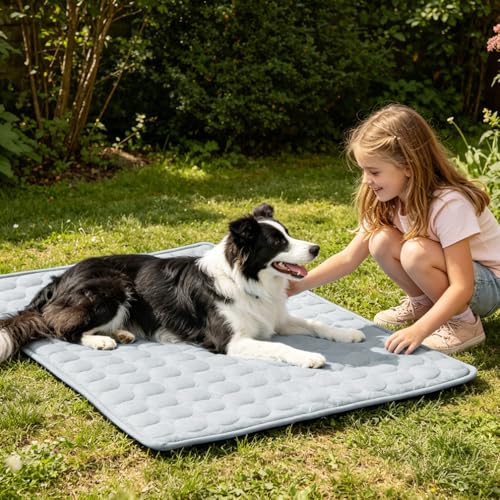 2026 Arc-Chill Upgraded Dog Cooling Mat Q-Max>0.4 Pet Cooling Pad | Non-slip Dog Bed Mats Washable Cooling Mat for Dogs Cats Instant Cool Relief for Indoor Floor Sofa, Outdoor Garden& Car Seats - color: Grey, size: 40x28 in