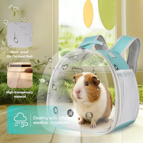 Guinea Pig Backpack, Space Capsule Bubble Window Small Animal Backpack for Guinea Pig, Bird Bunny Rat - color: Green
