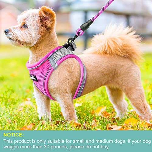 haapaw Dog Harness with Leash Set, No Pull Adjustable Reflective Step-in Puppy Harness with Thickened Padded Vest for Extra-Small/Small Medium Dogs - color: Grey / Pink, size: XS