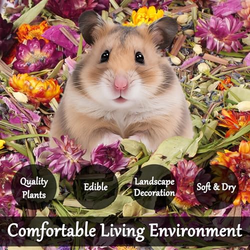 Hamster Hen Bedding, Flowers & Herbs Odor Control Dwarf Gerbil Habitat Decor Hamster Forage Gerbils Mice Lemmings Degus or Other Small-Sized Pets, 100 Grams