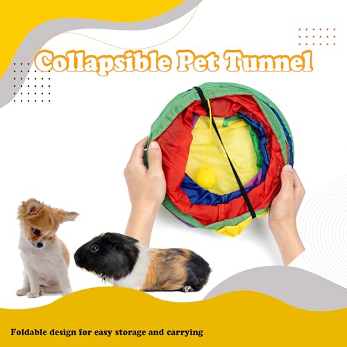 PetnBeyond Guinea Pig Tunnels, Collapsible 3 Way Play Tunnel and Tubes with Interactive Ball Toys, Small Animal Hideout, Hideaway for Guinea Pig, Chinchilla, Ferret, Rat, Hamster, Hedgehog, Bunny