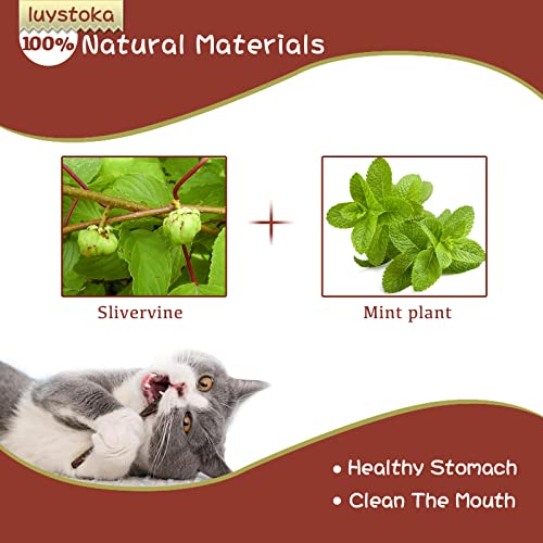 Silvervine Sticks for Cats, 30PCS Kitten Toys Catnip Toys Matatabi Silvervine Sticks Kitty Chew Toys Wooden Stick Kitten Teething Toys Molar Suitable for Cats of All Ages - size: (30pcs)