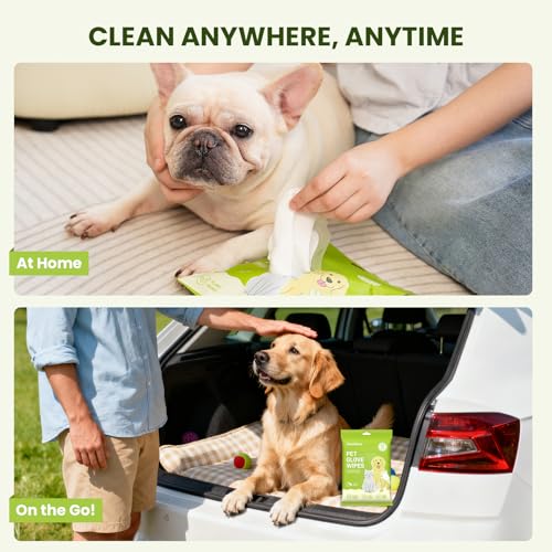 36PCS Hypoallergenic Pet Glove Wipes for Dogs, Cats & Small Animals | No-Rinse Deodorizing Dog Wipes for Paws, Butt, Eyes & Ears | Pet Wipes for Stain & Odor Cleanup Between Baths & Travel - size: 3 Pack