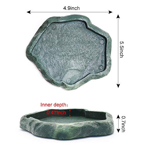 SLSON Small Reptile Feeder Terraium Bowl Plastic Shallow Reptile Feeder for Food and Water Feeding Dish for Lizard Gecko Junior Bearded Dragon,Small Green