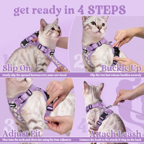 rabbitgoo Cat Harness and Leash Set, Escape Proof Vest, Purr-ple Daisy | Soft Breathable Mesh, Easy Adjustable Fit, Snap Buckles, Sturdy Clip, Reflective Strips, for Kittens & Small Cats Walks, Xxs - color: Purr-ple Daisy, size: Xxs