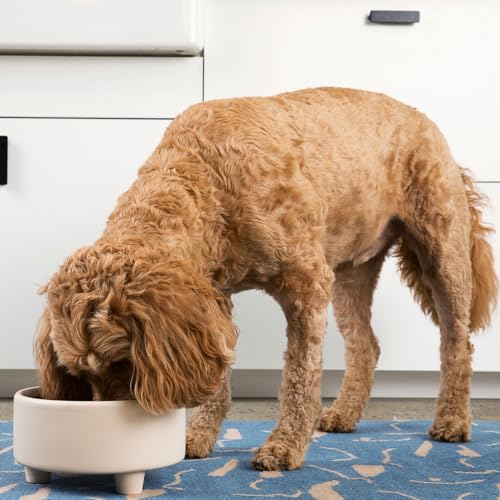 Waggo Uplift Ceramic Dog Bowl for Small Medium and Large Breeds - Heavyweight and Durable Pet Food and Water Dish Crock, Dishwasher Safe, Modern, Elevated Feeder (Clay, Large) - color: Clay, size: Large