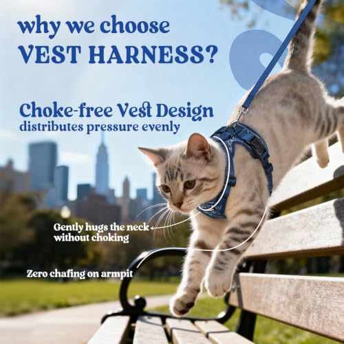 rabbitgoo Cat Harness and Leash Set, Escape Proof Vest, Cosmic Ace | Soft Breathable Mesh, Easy Adjustable Fit, Snap Buckles, Sturdy Clip, Reflective Strips, for Kittens & Small Cats Walks, Xxs - color: Cosmic Ace, size: Xxs