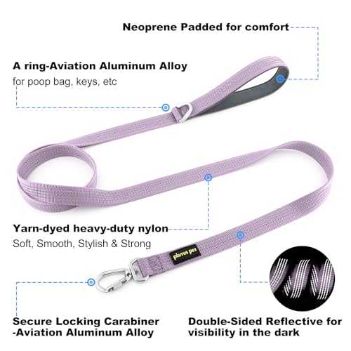 Plutus Pet Heavy Duty Dog Leash with Lockable Aluminum Carabiner, 4 FT Long | Double-Sided Reflective Nylon, Padded Handle, Heavy Duty, for Puppy Small Medium and Large Dogs (Purple, 1" x 4') - color: Lilac Purple, size: 1" x 4'