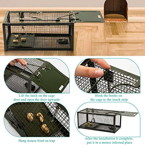 Qualirey 2 Pcs Live Rat Trap Humane Mouse Trap Mice Rat Cage Work for Small Animal Indoor and Outdoor Mouse Voles Hamsters Catch and Release(Green) - color: Green