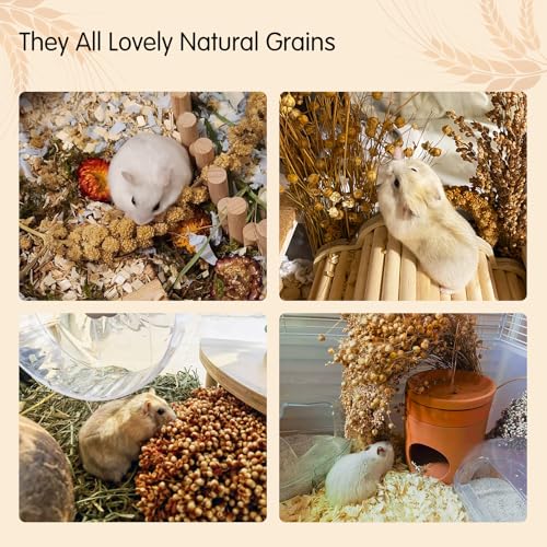 Fhiny Natural Hamster Bedding, Edible Hamster Sprays Flowers & Herbs Gerbil Habitat Enclosure Decor Grain Treats Cage Accessories for Dwarf Syrian Hamster Gerbil Mice Lemming Degus