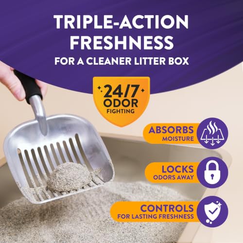 ARM & HAMMER Slide Platinum Easy Clean-Up Clumping Cat Litter, 37 Lbs | 24/7 Odor Control, Triple-Action Freshness, Non-Stick, Low Tracking, Multi-Cat Formula, Scented - style: SLIDE Platinum Clumping Litter