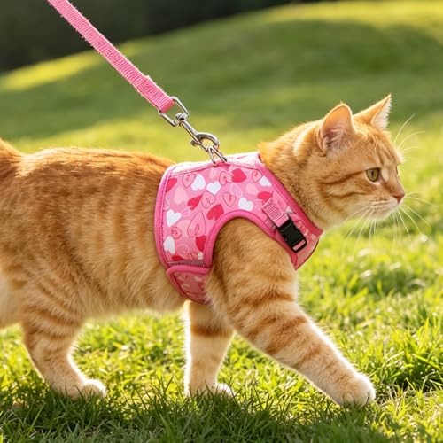 BINGPET Cat Harness and Leash Set, Escape Proof and Adjustable, Large | Step-in Vest, Lightweight Soft Breathable Mesh, Hook & Loop, Easy Control for Medium & Large Cats Walking Travel - color: Heart, size: Large
