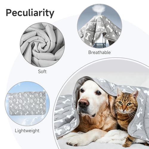 wegreeco Pet Dog Cooling Mat for Cats, Lightweight Bed Outdoor Cooling Blanket for Dogs and Cats, Small Medium Large Puppy Cool Pad for Dogs, Small Bones Small - color: Small Bones, size: Small