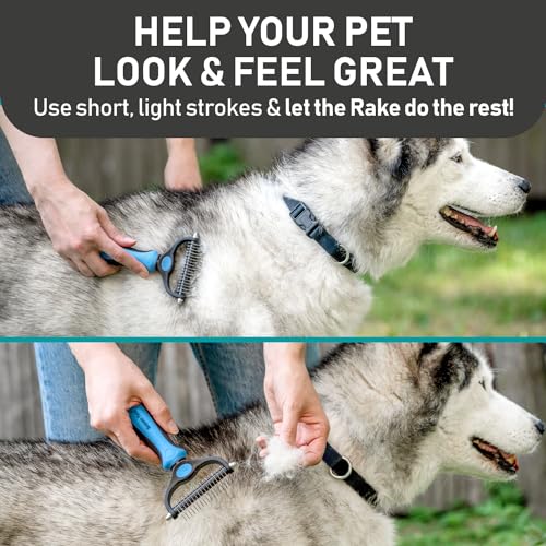 Maxpower Planet Pet Grooming Brush and 2X Grooming Gloves Combo - Double Sided Dematting, Deshedding Undercoat Rake for Dogs and Cats - Reduce Shedding Easily - Blue | Cat & Dual-Sided Rake, Dematting, Adjustable Fit, Machine Washable, Dog Brush for shedd