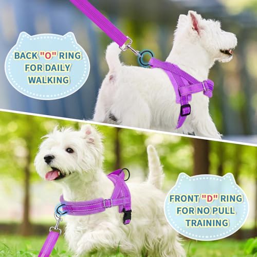 Lukovee Small Dog Harness and Leash Set, No Pull Soft Padded Vest | Both Neck & Chest Adjustable, Reflective, Puppy Harness with 4ft Lightweight Anti-Twist Dog Leash for Small Dogs (Purple,XXS) - color: A-Purple, size: XXS ( Chest 11.5'' ~ 15'')