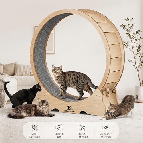 Cat Wheel, 46" XL Large Exercise Running Wheels with Detachable Carpet for Indoor Cats - color: Wood, size: XL