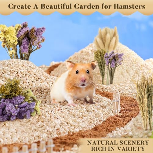 Sukh 60PCS Hamster Sprays - Natural Flower Herb Bedding & Habitat Decor | Natural Grain and Herb Sprays for Syrian & Dwarf Hamsters, Gerbils, Rabbits and Small Pets, for Foraging and Cage Enrichment