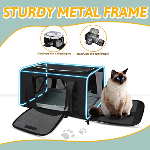 Small Pet Carrier 17" L x 12" W x 8.5" H Airline Approved, Black | for JetBlue/Frontier/Spirit Airlines, Lockable Safety Zippers and Anti-Scratch Mesh, Pets Under 8 lbs - color: Black, size: 17.0"L x 12.0"W x 8.5"H
