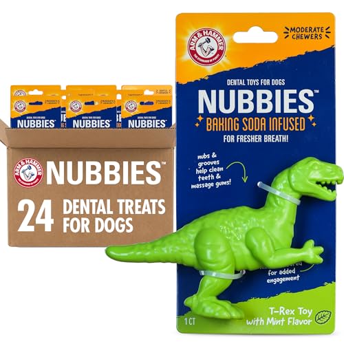 Arm & Hammer Nubbies T-Rex Dog Dental Chew Toy, Mint Flavor, 24-Pack | Nylon construction, baking soda infused, reduces plaque and tartar without brushing, moderate chewers - color: Green T-Rex, size: 24 Count