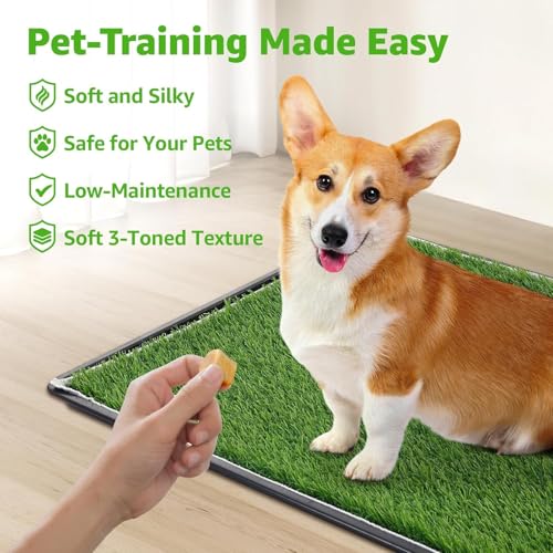 Grass Pad with Tray 20"x16", Dog Litter Box for Puppy Training | Easy to Clean, Full System with Trays, Artificial Grass Patch Bathroom Mat & Washable Pee Pad, Indoor/Outdoor Use - size: 20"x16"（4 Layer Potty System)