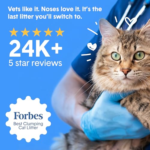 Boxie Probiotic Clumping Cat Litter 40+ Day Odor Control Dust Free 40 lb - size: 40 lb