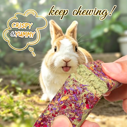 Abizoo 10pcs Timothy Hay & Alfalfa Chew Toys - Natural Crunchy Treats with Wheat Calendula Rose High Fiber for Teeth Care & Digestive Health for Bunnies, Guinea Pigs, Hamsters, Chinchillas, Gerbils