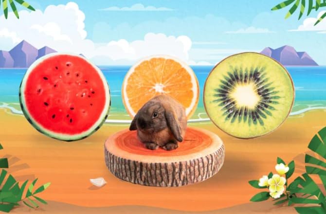 GuineaDad Fruit Couch – Plush Guinea Pig Bed for Bunnies & Small Pets – Soft Lounge Spot & Hangout for Guinea Pigs and Rabbits (Wood)
