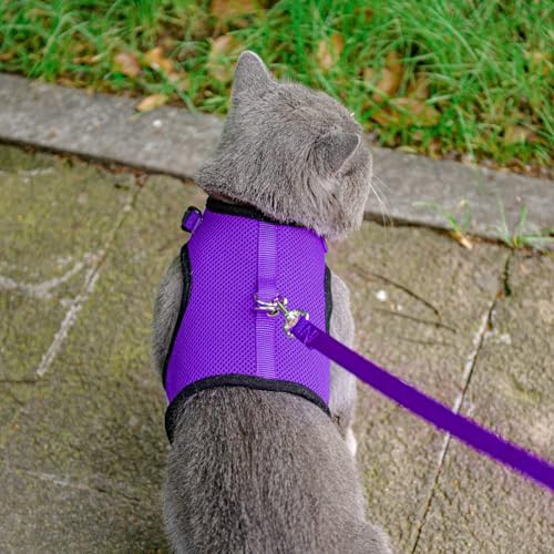 PUPTECK Soft Mesh Cat Vest Harness and Leash Set Puppy Padded Pet Harnesses Escape Proof for Cats Small Dogs Rabbits Bunny - color: Purple, size: M(NECK 7", CHEST 10.5", 4-6 lbs)