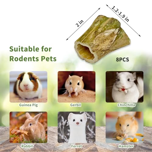 Fhiny Rabbit Chew Toys, 8 PCS 2" Natural Papaya Wood Chew Sticks Guinea Pig Treats for Dental Care Bunny Treats for Rabbits Small Pet Molar Snacks for Bunny Guinea Pig Chinchilla Hamster Gerbil