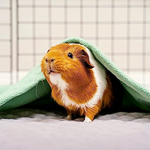 GuineaDad Original Reusable Cage Liner – Sea Green Fleece Bedding with Burrowing Pocket – Extra Absorbent Core & Waterproof Bottom – Fits C&C 2x3 Guinea Pig Cages – Small Animal Supplies